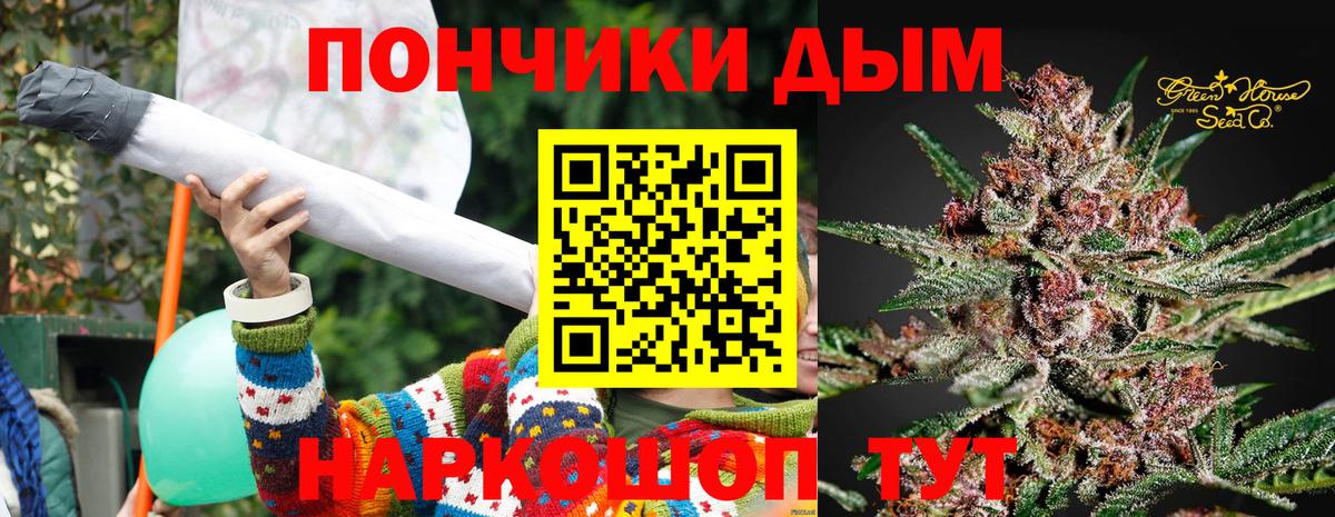 Каннабис индика Сочи